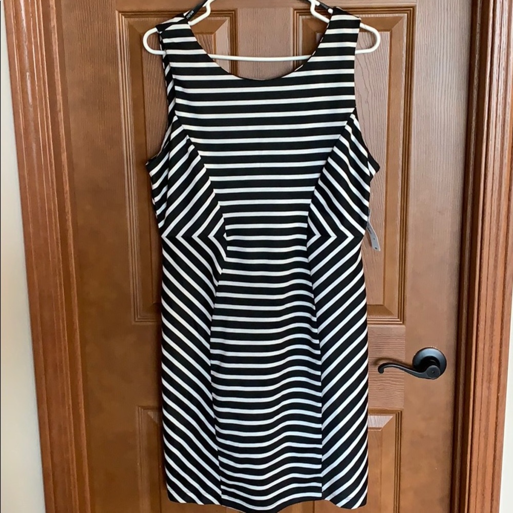 Women’s dress size 16